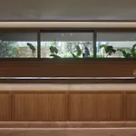 Atlantica Aegean Blue Complex 5*